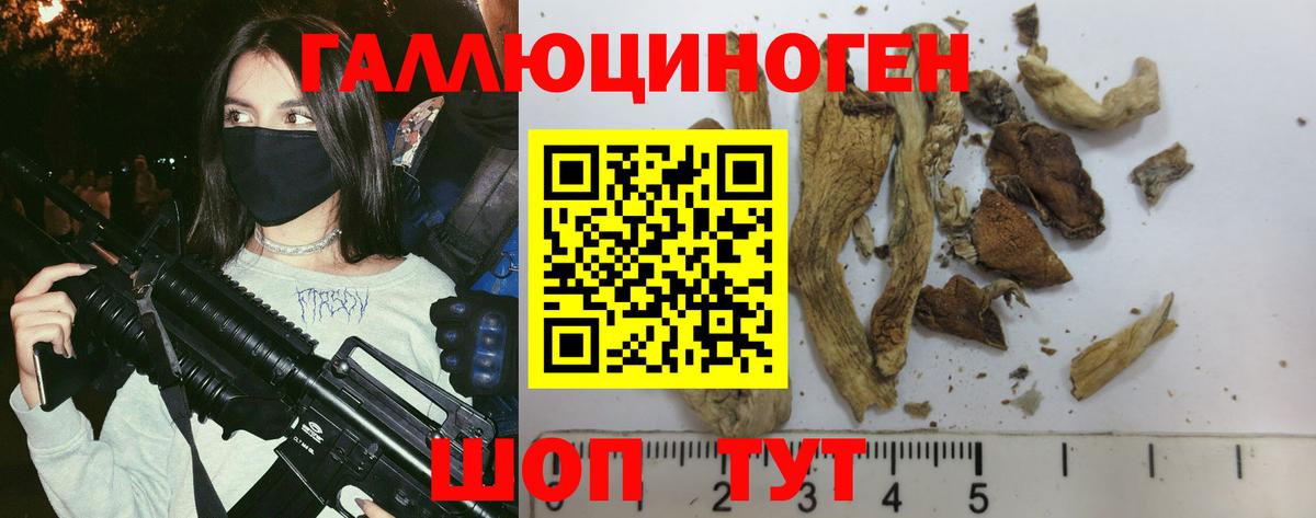 Галлюциногенные грибы ЛСД  Вход с VPN  закладки  Новошахтинск 