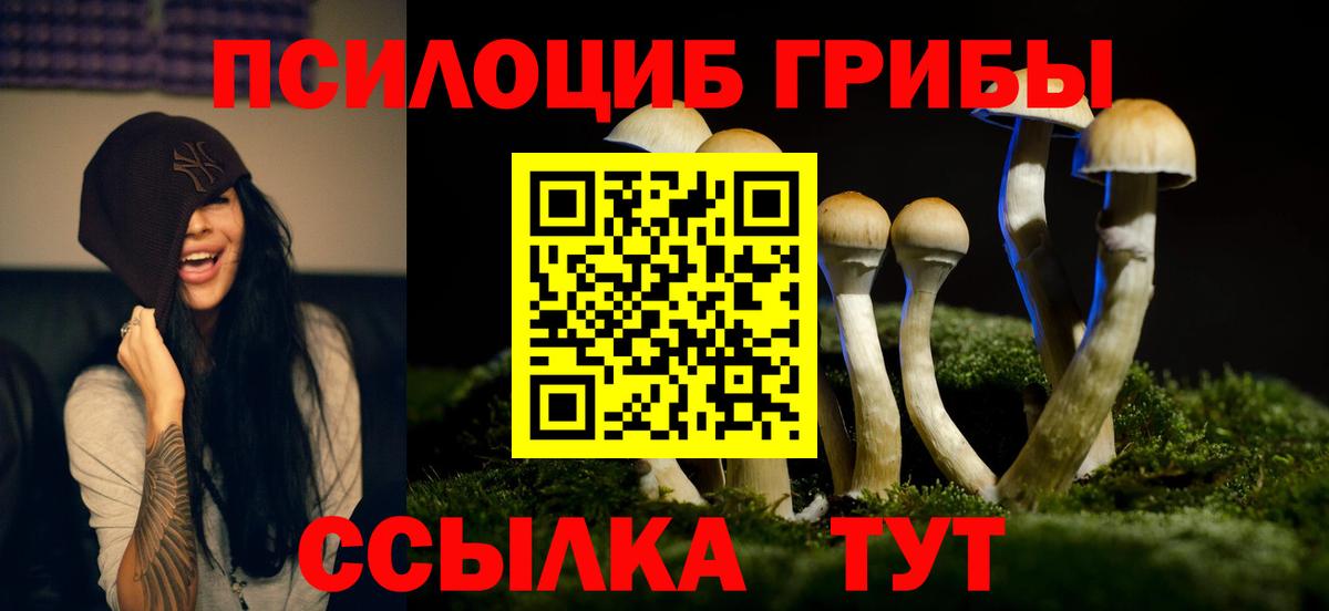 Галлюциногенные грибы Magic Shrooms Новошахтинск